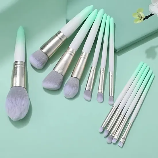Hotselling Synthetic Hair Makeup Brush Makeup Brush Set 12PCS for Liquid Foundation Powder